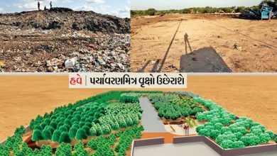 Photo of બોપલમાંથી 2.5 લાખ ટન કચરો,બાયોમાઈનિંગ પદ્ધતિથી દૂર કરાયો, હવે ત્યાં બનશે ઈકોલોજી પાર્ક