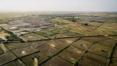 Photo of 36 ચો.કિમી. એરિયાને ડીનોટિફાઈ કરવાનો નિર્ણય લેવાશે, AUDAનો નવો ટીપી જૂનમાં જાહેર થવાની સંભાવના