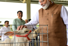 Photo of બનાસકાંઠામાં PM મોદીએ રૂ. 14,000 કરોડથી વધુનાં વિકાસકાર્યોનું લોકાર્પણ કર્યું