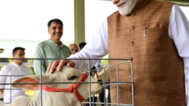 Photo of બનાસકાંઠામાં PM મોદીએ રૂ. 14,000 કરોડથી વધુનાં વિકાસકાર્યોનું લોકાર્પણ કર્યું